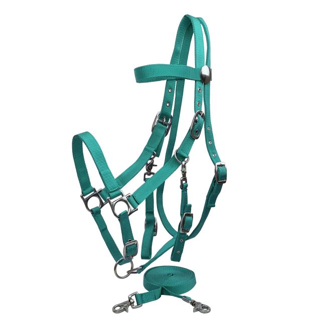 Nylon Combination Halter-Bridle w/ Reins