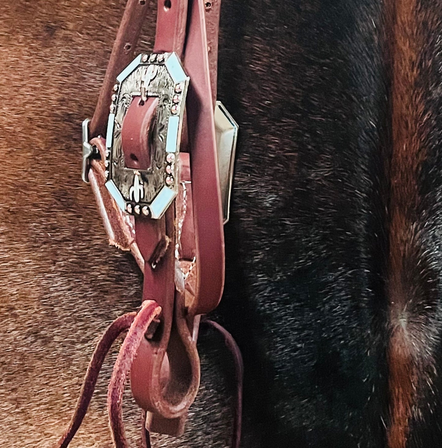 Harness Leather Browband Headstall w/ Turquoise & Cactus Buckles