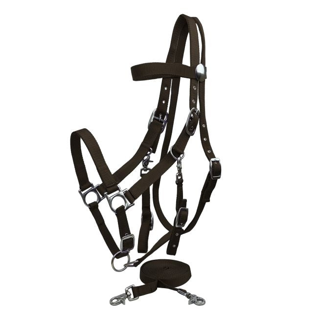 Nylon Combination Halter-Bridle w/ Reins