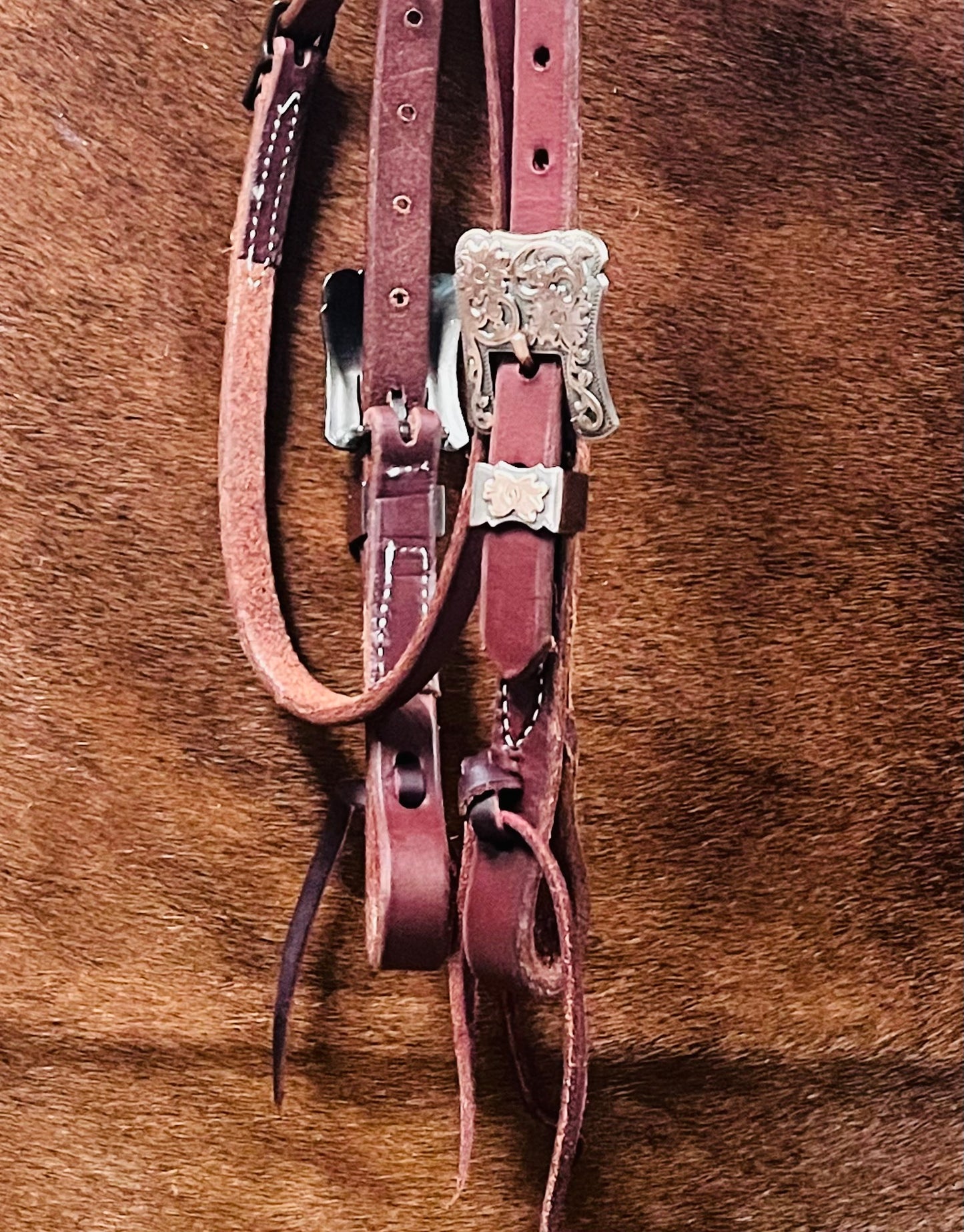 Harness Leather Browband Headstall w/ Embossed Buckles