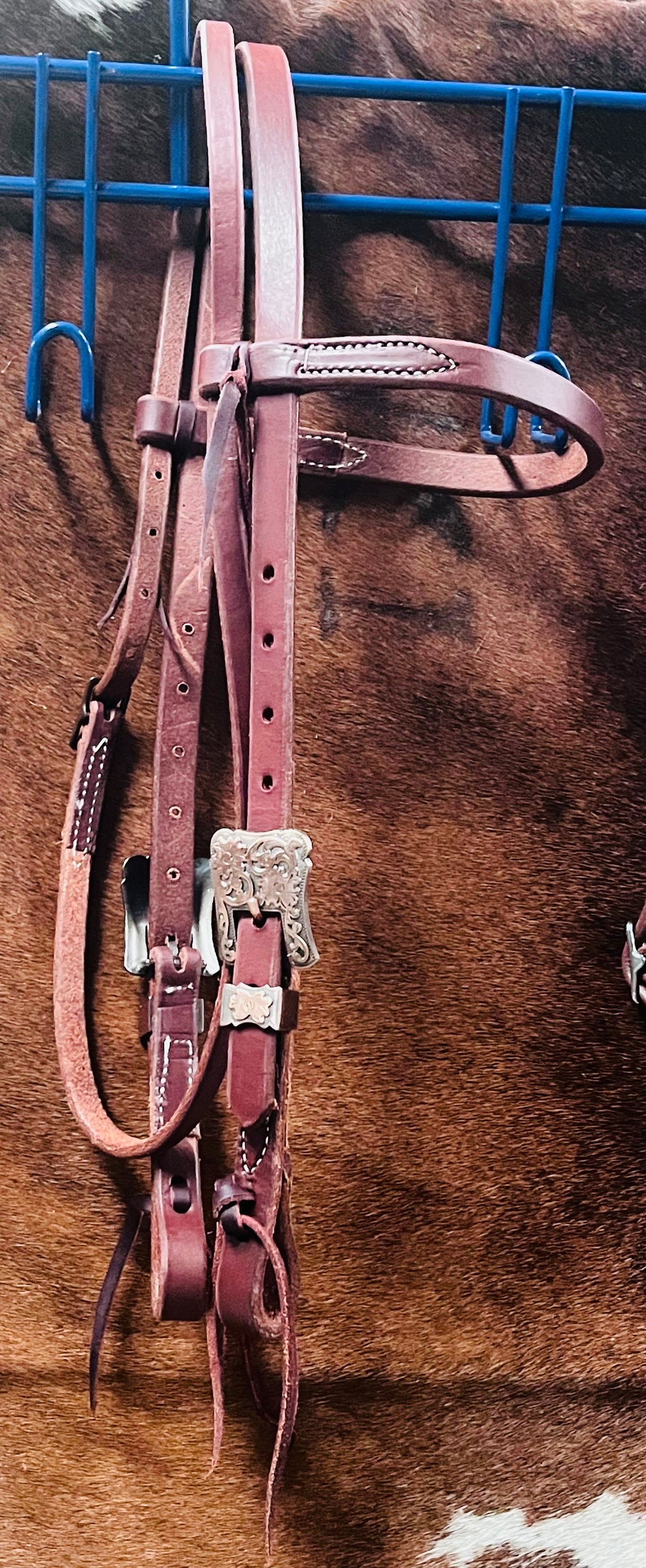 Harness Leather Browband Headstall w/ Embossed Buckles