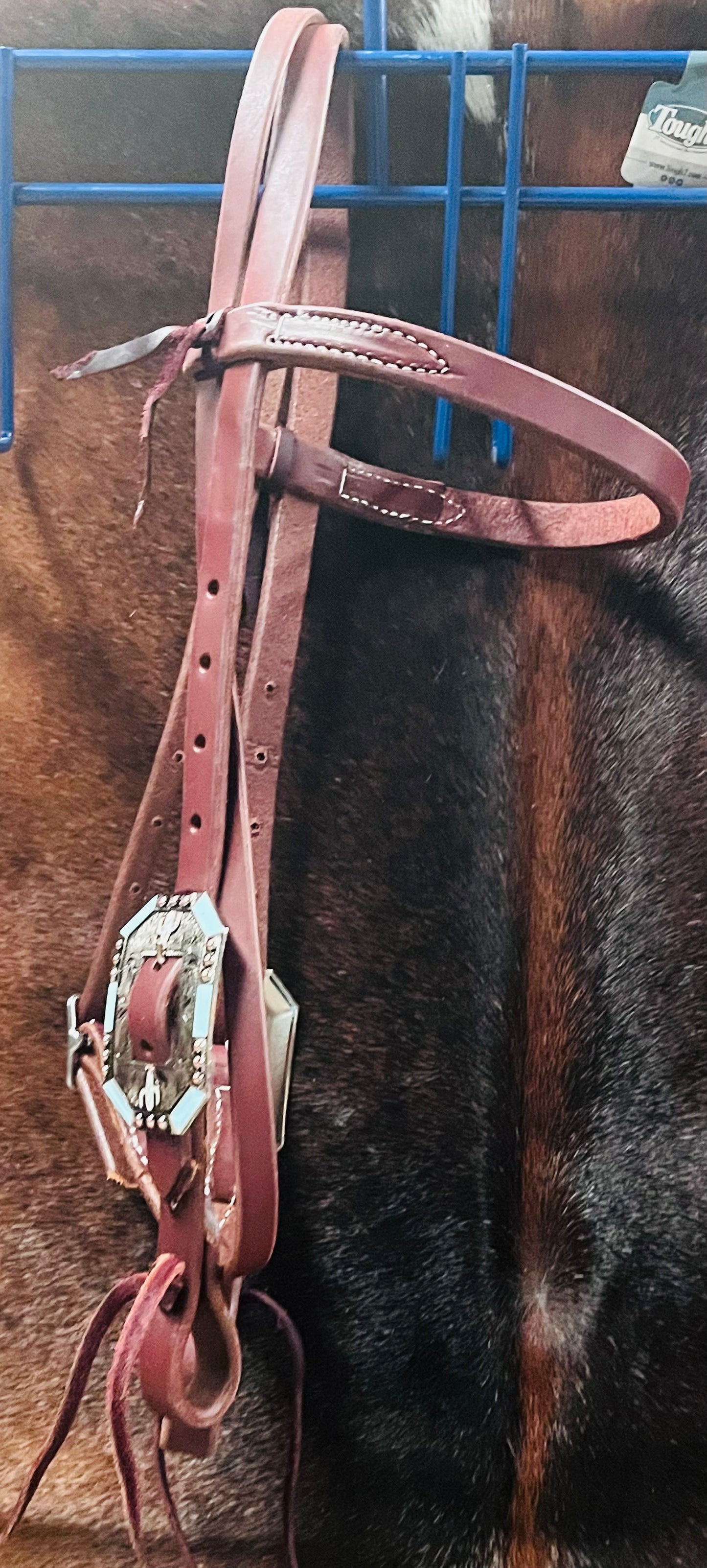 Harness Leather Browband Headstall w/ Turquoise & Cactus Buckles
