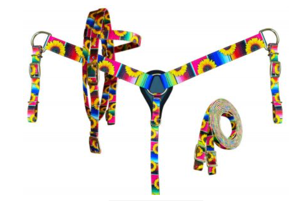 Showman PONY SIZE Nylon Headstall & Breastcollar set With Serape and Sunflower Print Design