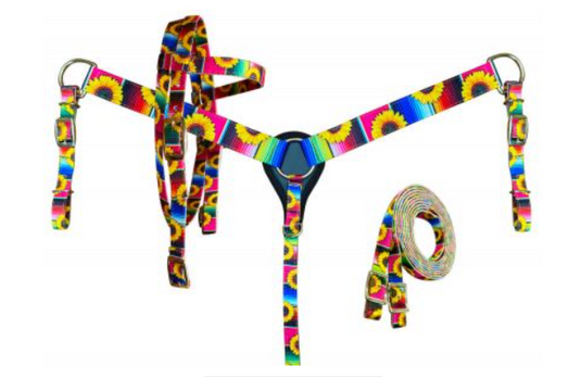 Showman PONY SIZE Nylon Headstall & Breastcollar set With Serape and Sunflower Print Design