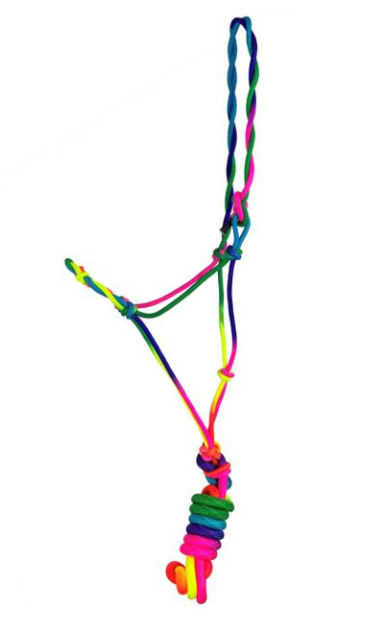 MD/LG Pony Size Ombre Rainbow Cowboy Knot Halter with Lead