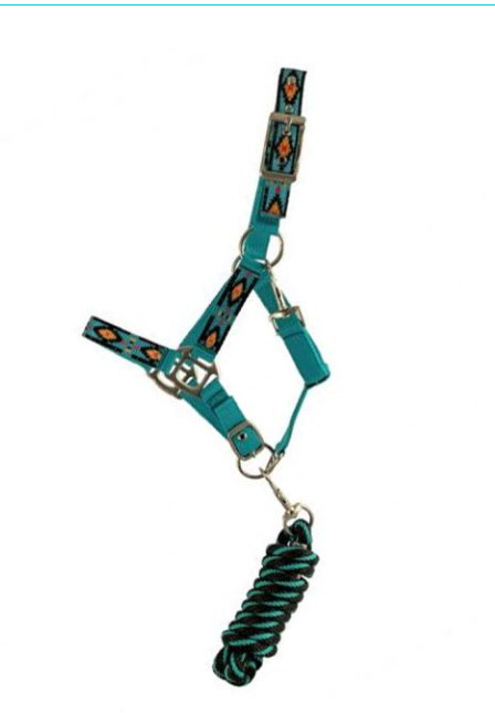 Showman 3-Ply Southwest Turquoise Nylon Halter with Lead - Pony