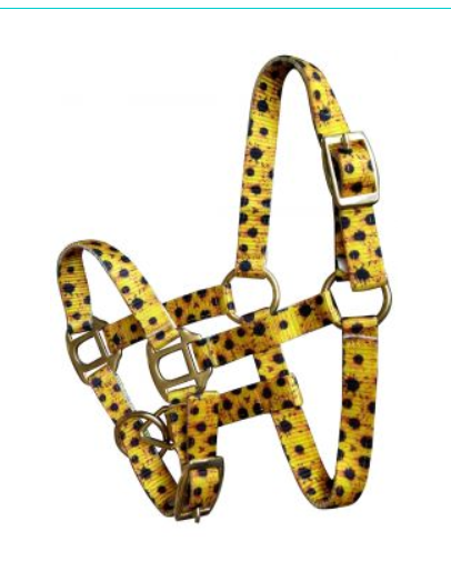 Showman Premium nylon Sunflower Print halter with brass hardware. FOAL/MINI SIZE
