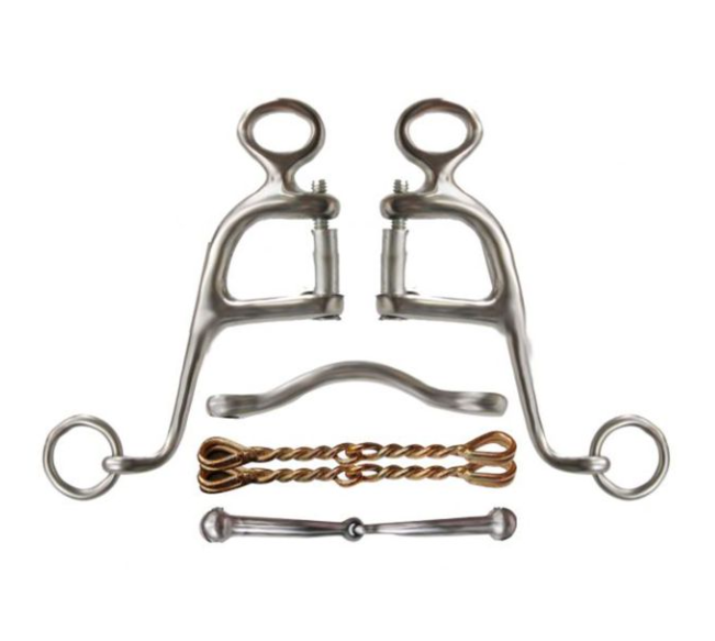 Showman Stainless-Steel Walking Horse Bit with 6" Cheeks - Comes with (4) 5" Interchangeable Mouth Pieces